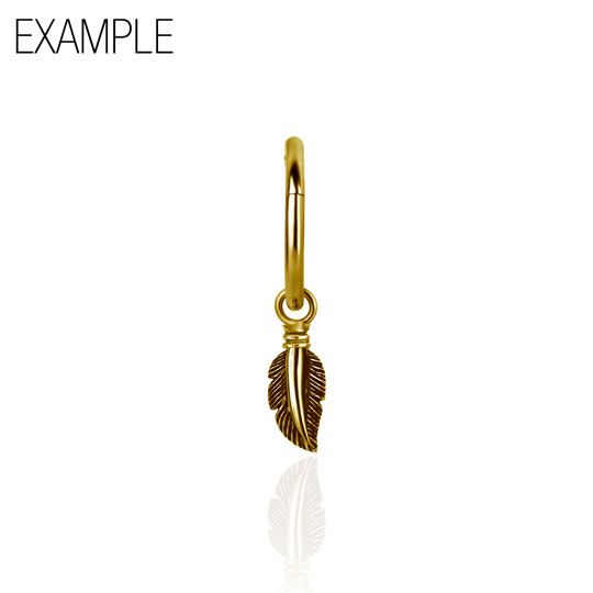 BG-BHSR-CHARM-02S