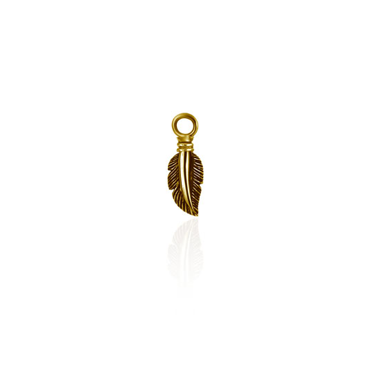 BG-BHSR-CHARM-02S